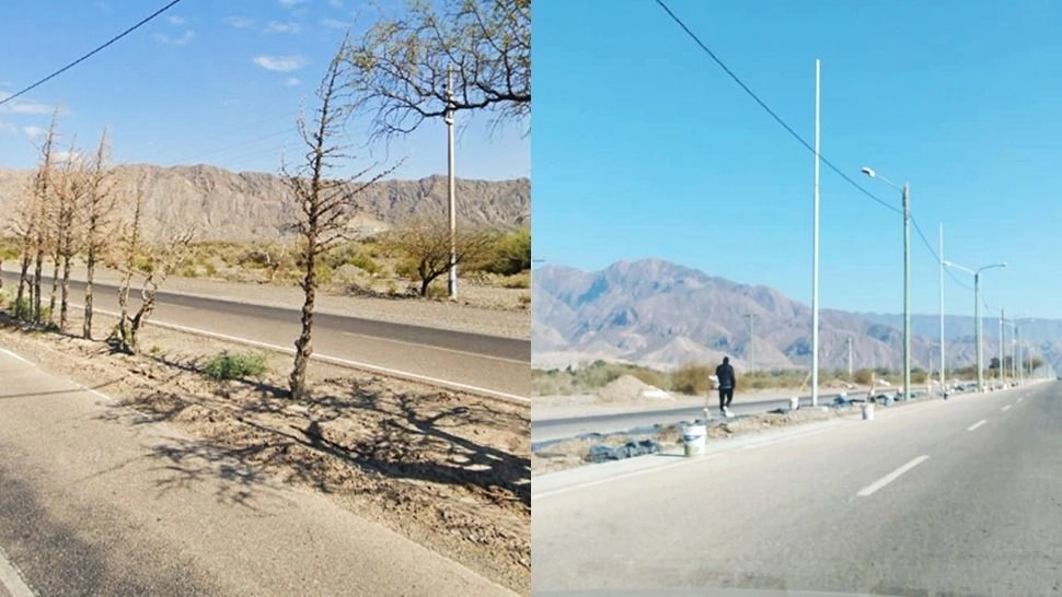 Ruta Provincial 12: tras mejorar la obra de regadío, plantarán 465 árboles