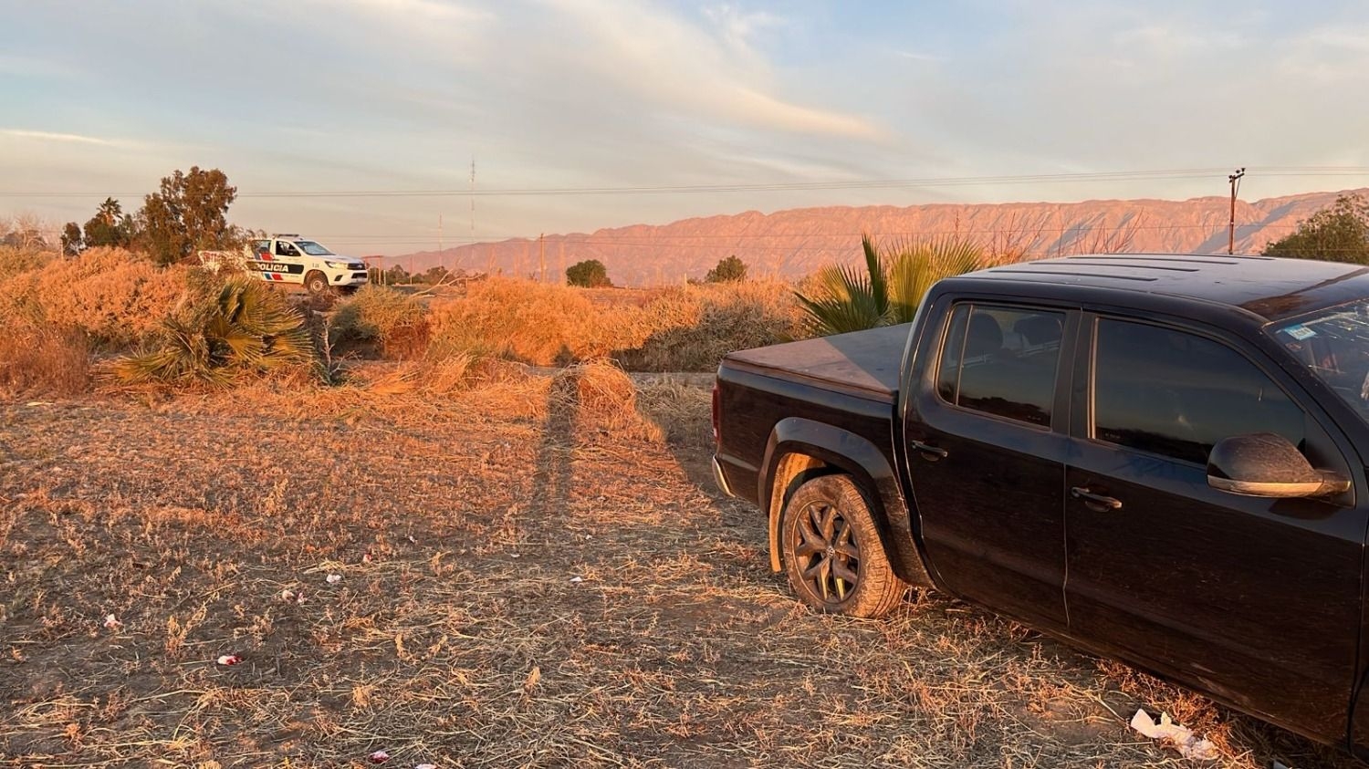 Una camioneta atropelló a un caballo en Carpintería: hay cinco heridos