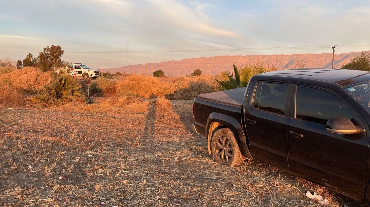 Una camioneta atropelló a un caballo en Carpintería: hay cinco heridos