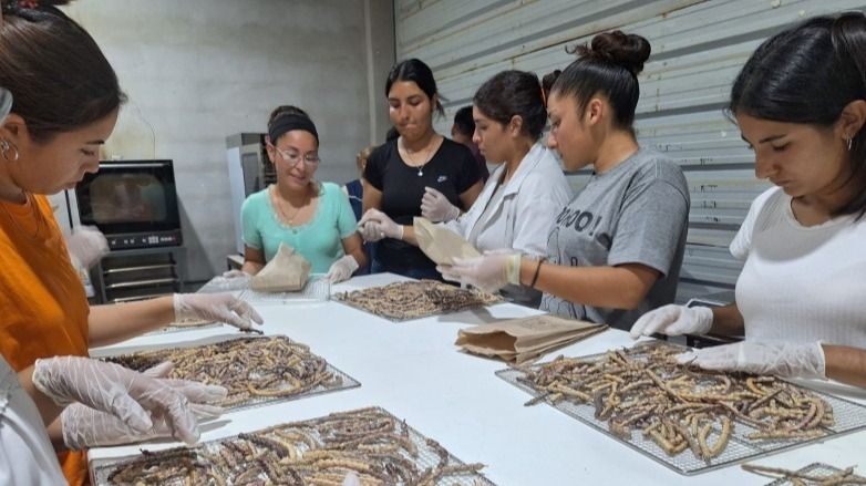 Tecnología y saberes ancestrales se unen en la Agrotécnica de Valle Fértil
