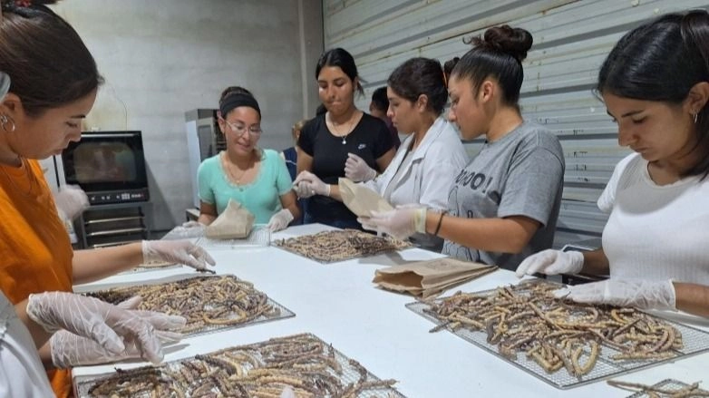 Tecnología y saberes ancestrales se unen en la Agrotécnica de Valle Fértil
