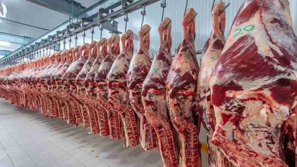 Milei anunciará la baja permanente de retenciones en La Rural