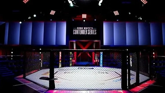 UFC.