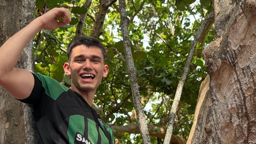 El hincha sanjuanino que trepó un árbol en Miami para alentar a la Scaloneta