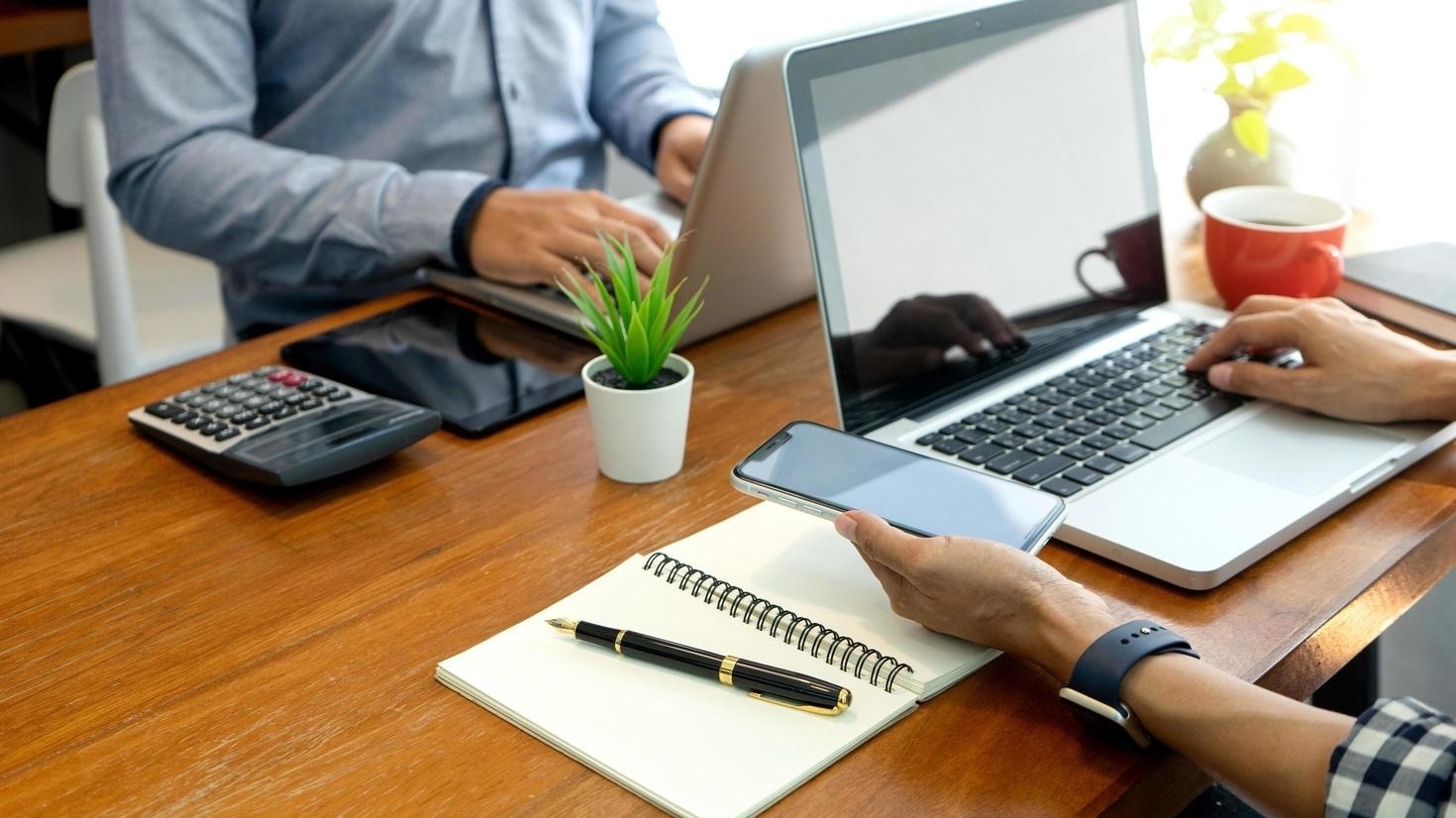 Cómo anotarte en la bolsa de trabajo de San Juan y postularte a un empleo