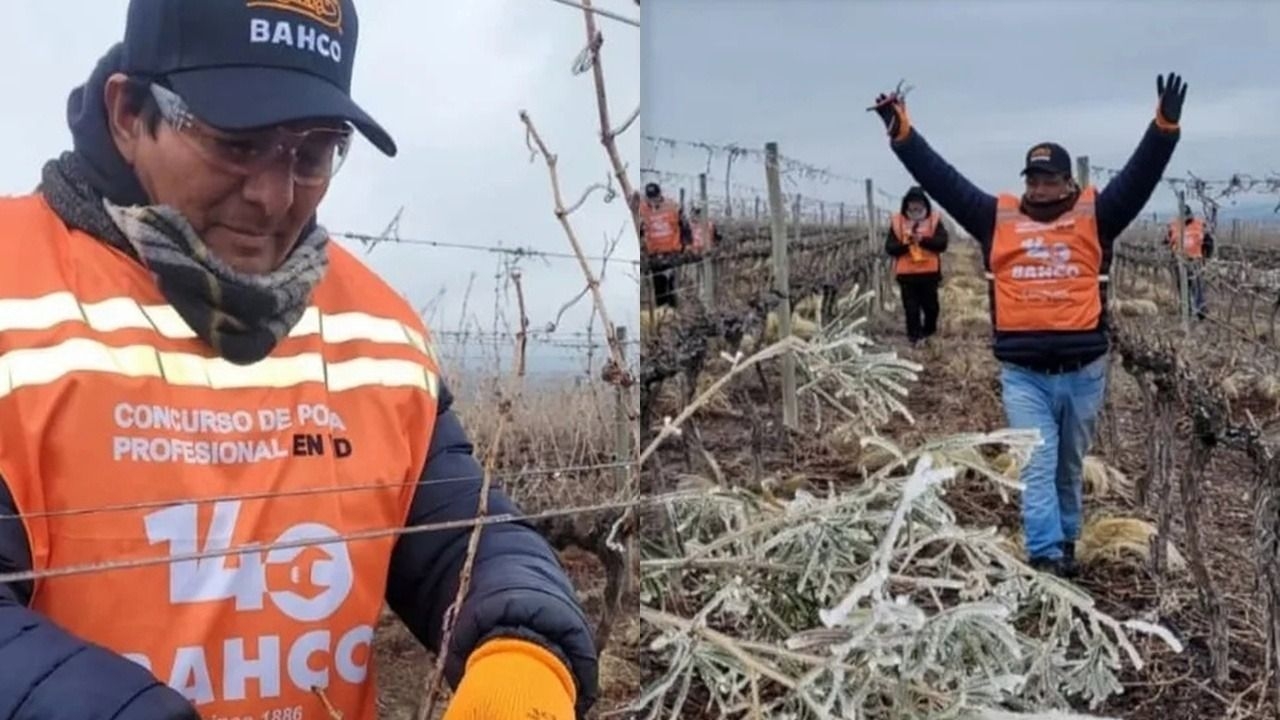 Con temperaturas bajo cero, premiaron a los mejores podadores de vid en Sarmiento