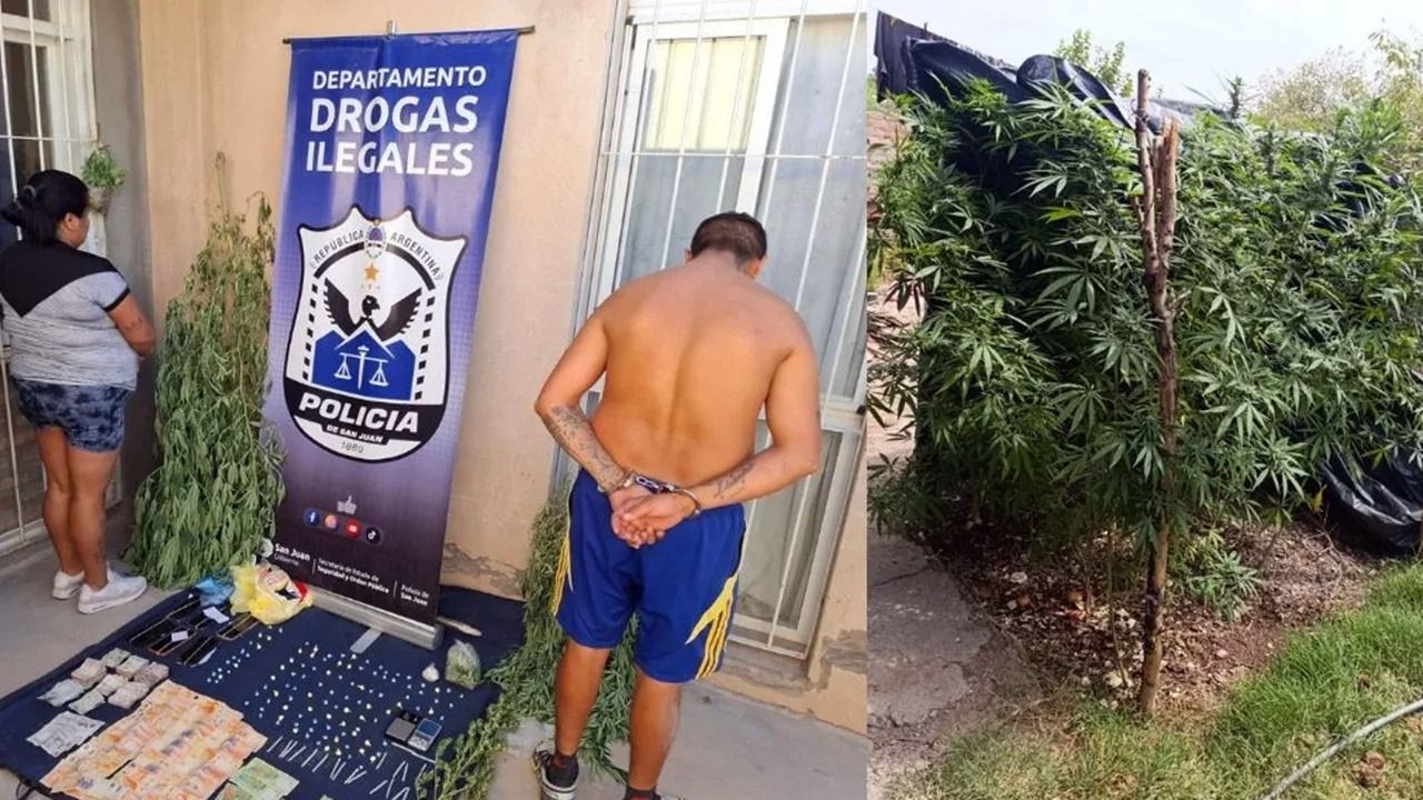Narcomenudeo: incautaron el 58% de la marihuana secuestrada en 2025