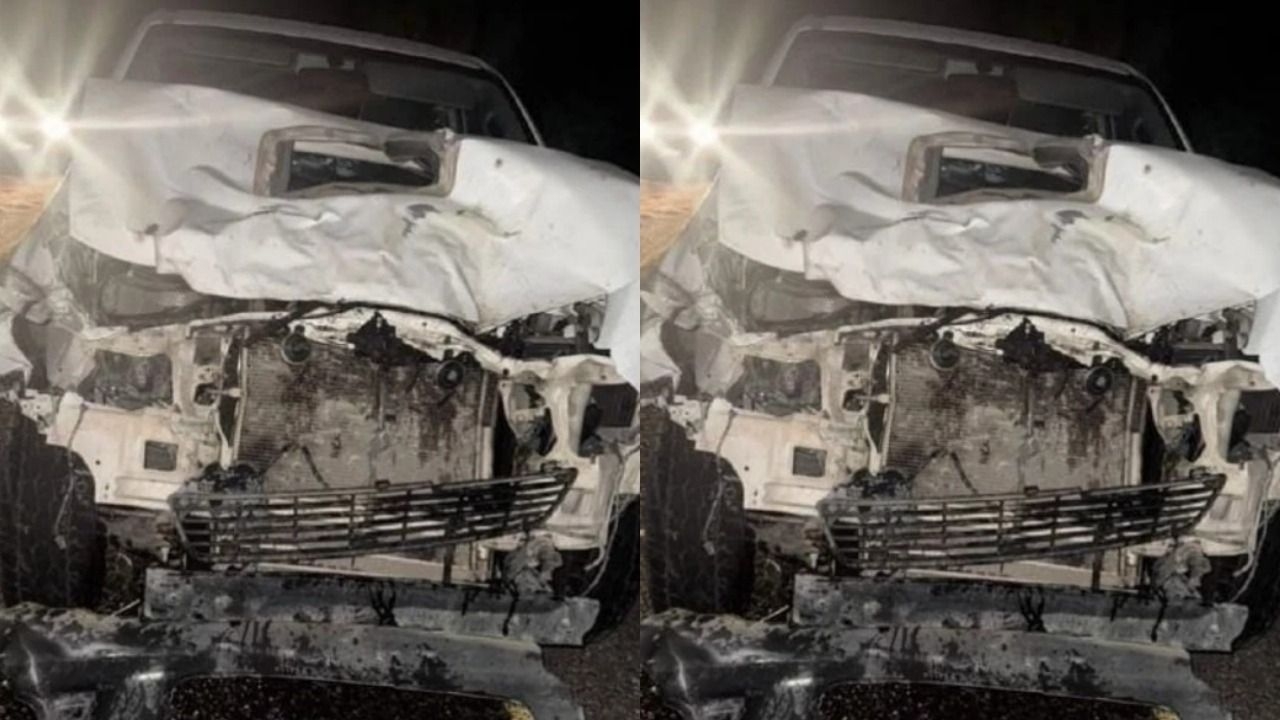 Tres hombres sufrieron un impactante choque contra mulas que se atravesaron