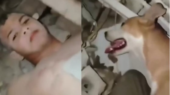“Mi perro me lamía”: un nene sobrevivió 14 días bajo escombros