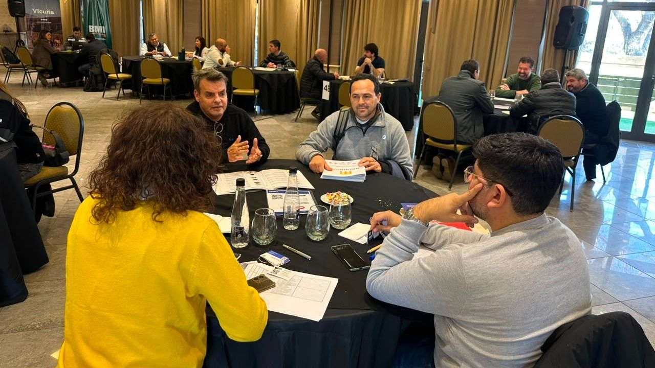 Más de 500 empresas buscan participar en nuevas obras de Vicuña