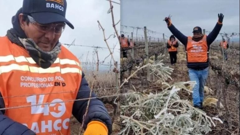 Un sanjuanino es el podador más rápido de Cuyo