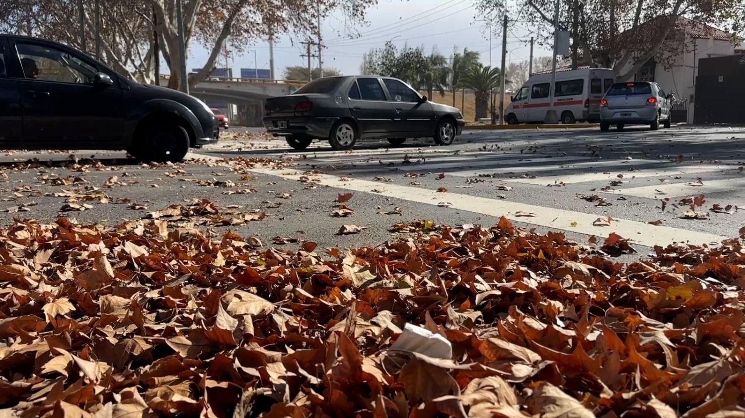 Fuertes ráfagas de Zonda en San Juan: las recomendaciones para cuidarse