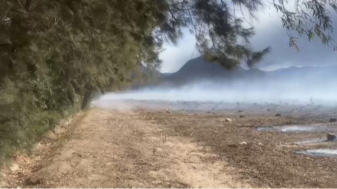 Bomberos trabajaron en un incendio dentro de una finca en Zonda