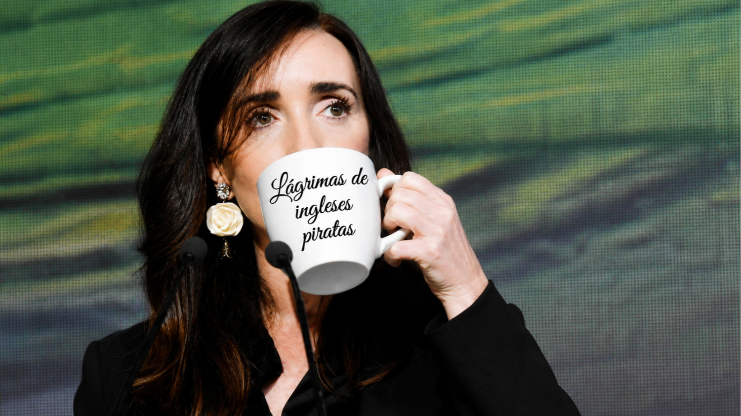 Villarruel respondió a un usuario que insultó a Argentina: "Lágrimas de ingleses piratas"