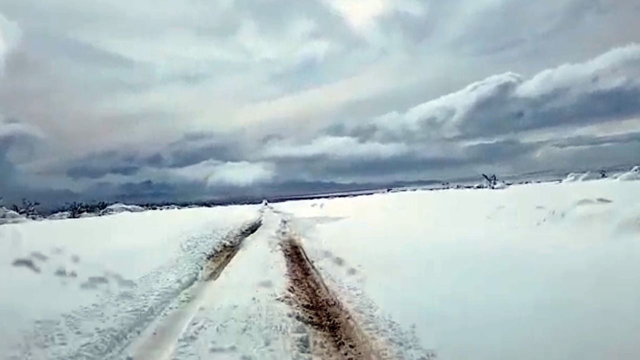 Vialidad Nacional advierte por hielo y niebla en las calzadas de rutas en San Juan
