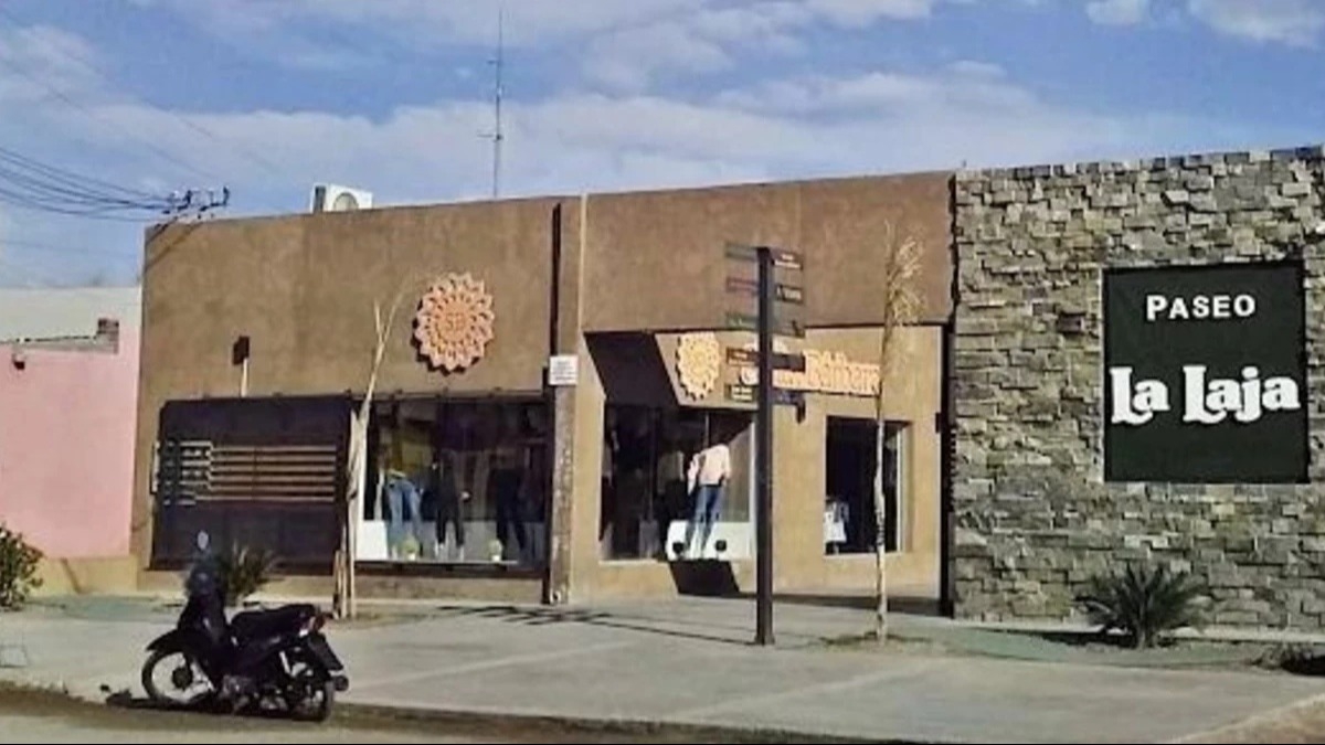 Robaron cajas registradoras y mercadería de una galería en Albardón