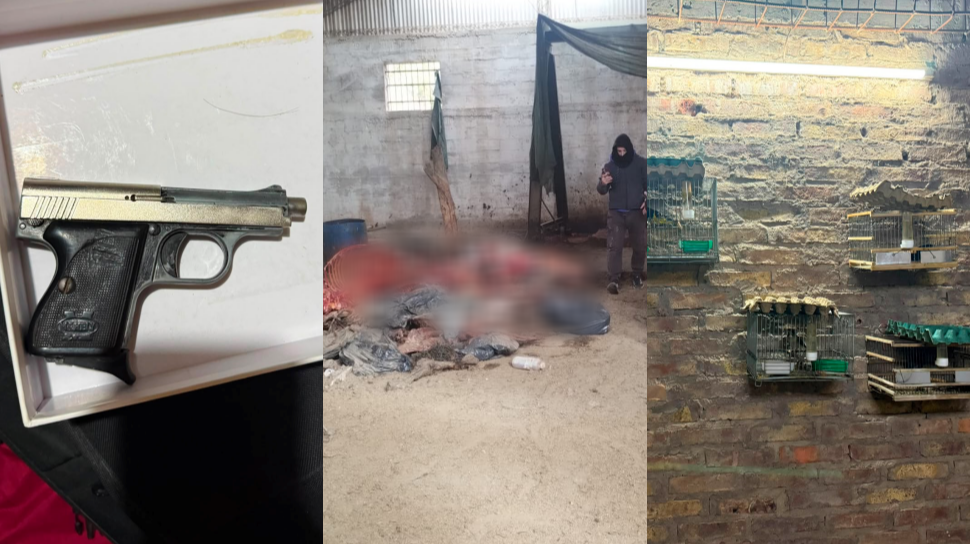 Allanaron un galpón donde faenaban equinos de forma ilegal en Pocito