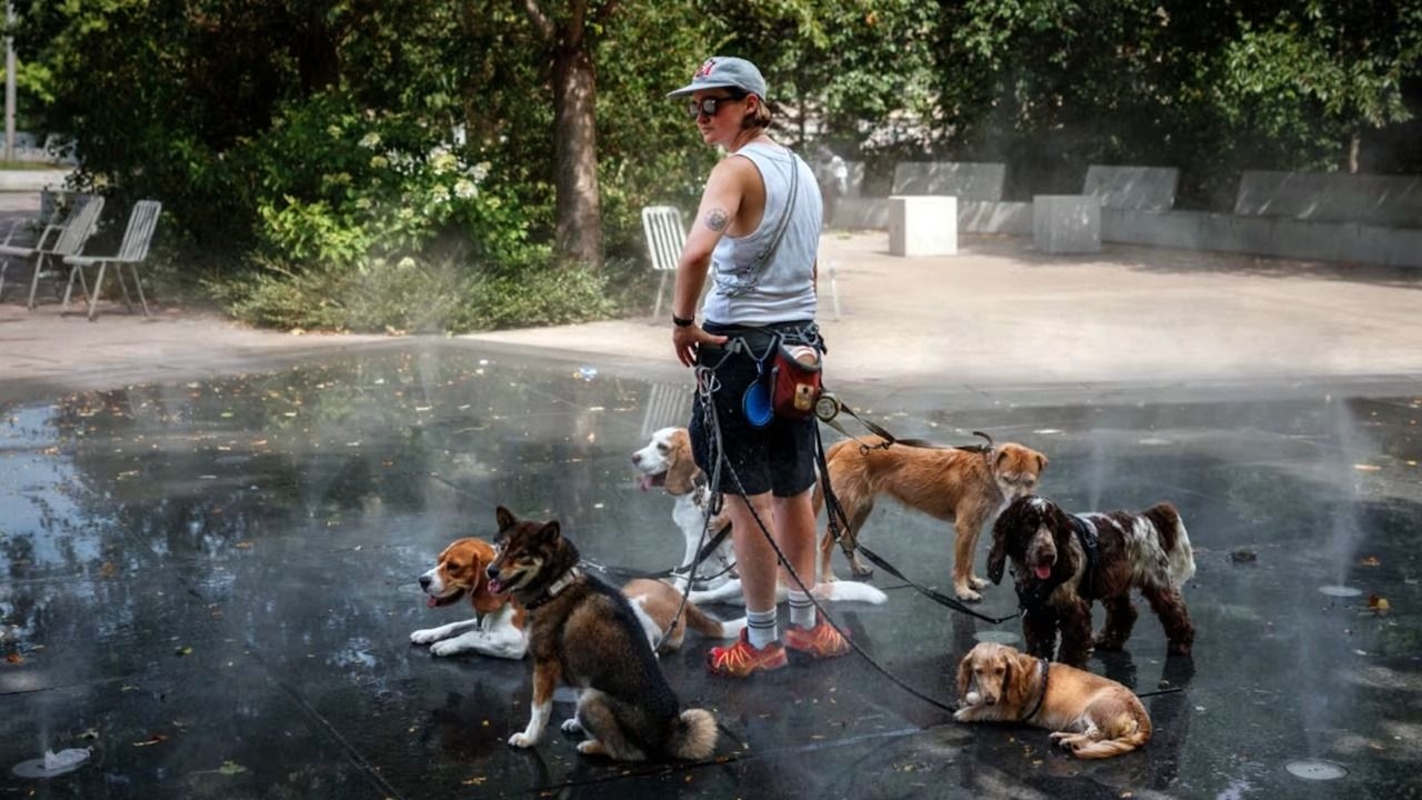 Francia registró casi 5.800 muertes adicionales por una ola de calor histórica