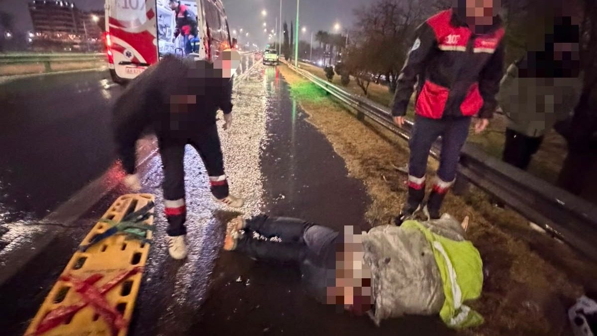 Lo atropellaron, lo abandonaron bajo la lluvia y el conductor se entregó 36 horas después 