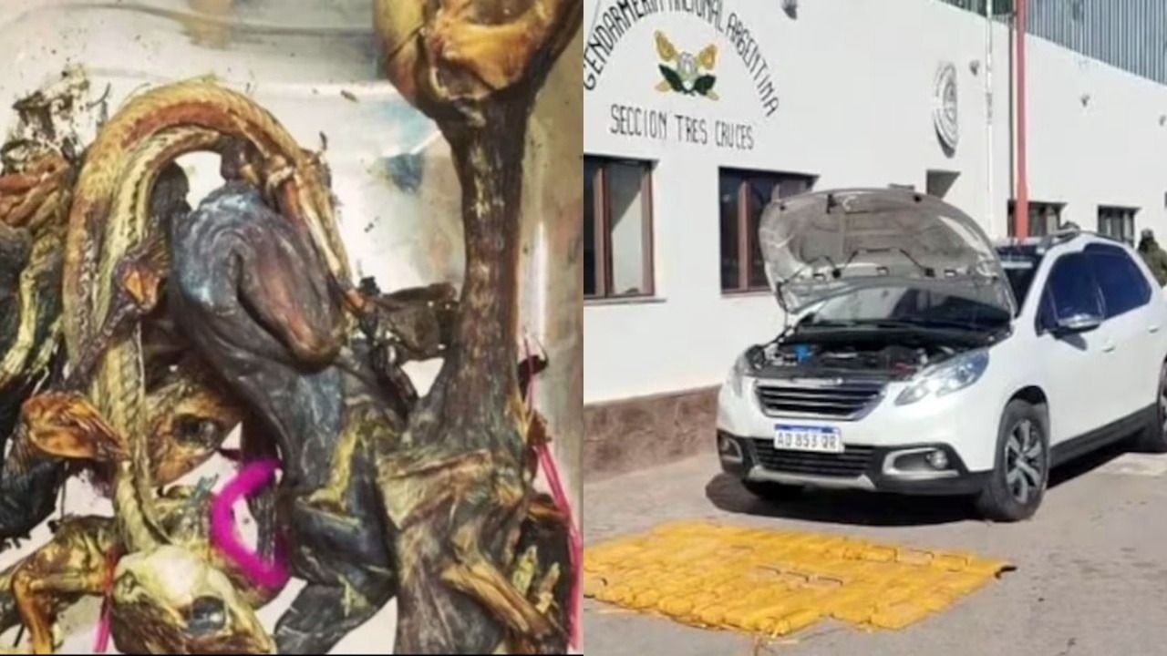 Cayó una banda narco con 61 kilos de cocaína y una ofrenda para “proteger” la droga