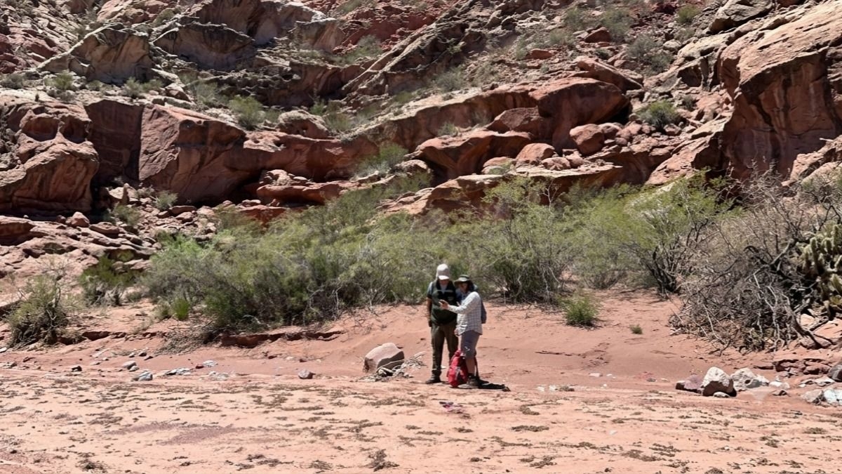 Técnicos de la UNSJ y Ambiente ya realizan trabajos de campo en Huaco