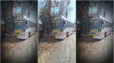 Un colectivo de la Red Tulum se estrelló contra una palmera en Rawson