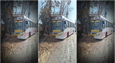 Un colectivo de la Red Tulum se estrelló contra una palmera en Rawson