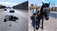 Un motociclista chocó contra una carreta tirada por un caballo