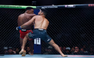 UFC.