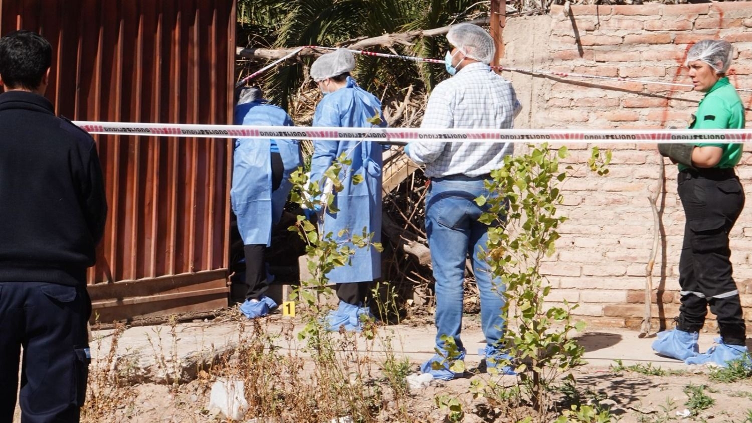 Macabro hallazgo en Pocito: un hombre murió y fue comido por sus perros