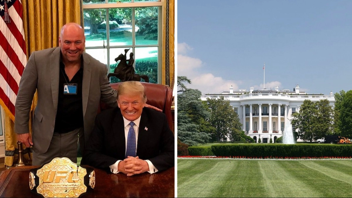 UFC.