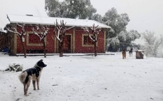 El temporal de Santa Rosa sorprendió a Pedernal con una nevada 