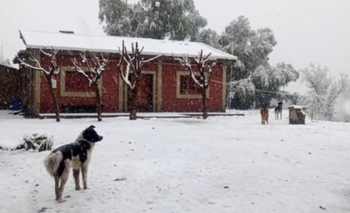 El temporal de Santa Rosa sorprendió a Pedernal con una nevada 