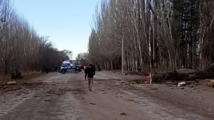 Dos personas murieron tras la caída de un árbol en una camioneta