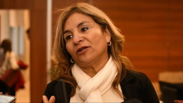 UDAP defendió el paro: "No tiene nada que ver con la provincia"