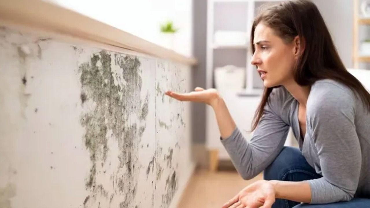 Cómo reparar una pared con humedad y evitar que vuelva a aparecer