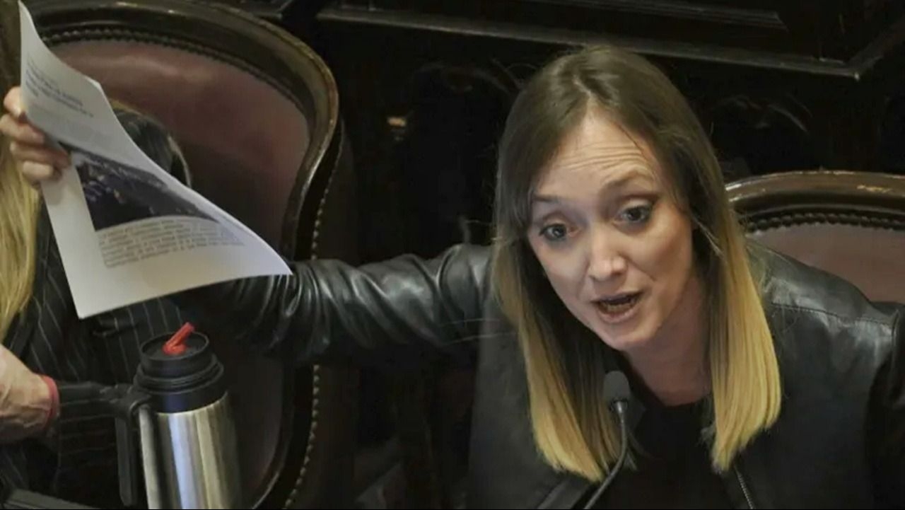 Un voto clave: ¿Anabel Fernández Sagasti podrá votar por la Ley de Tierras?