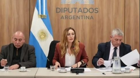 Diputados estudian una reforma del Código Minero para tierras raras en Argentina