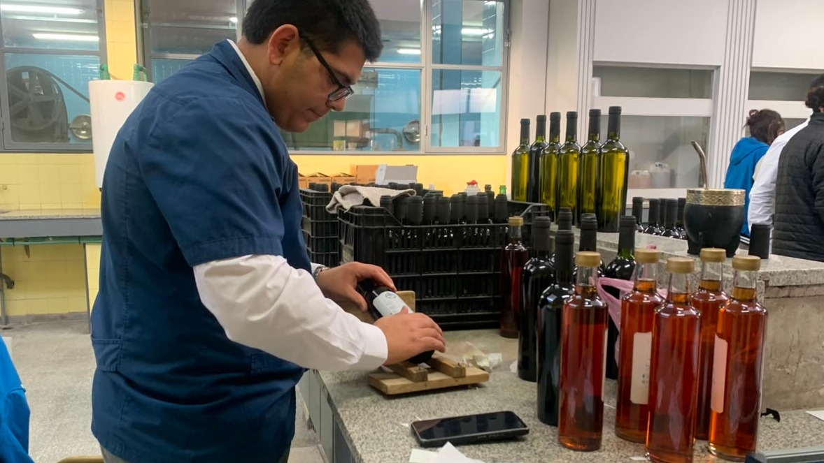 La Escuela de Enología reabrió su histórica bodega tras siete años sin actividad