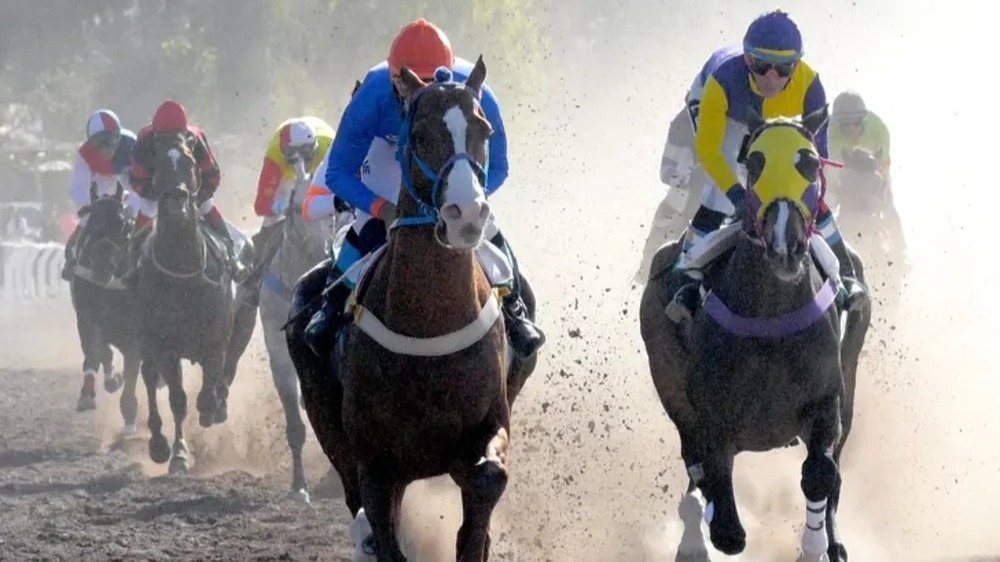 Un caballo fue herido en el Jockey Club y una camioneta lo sacó a la rastra