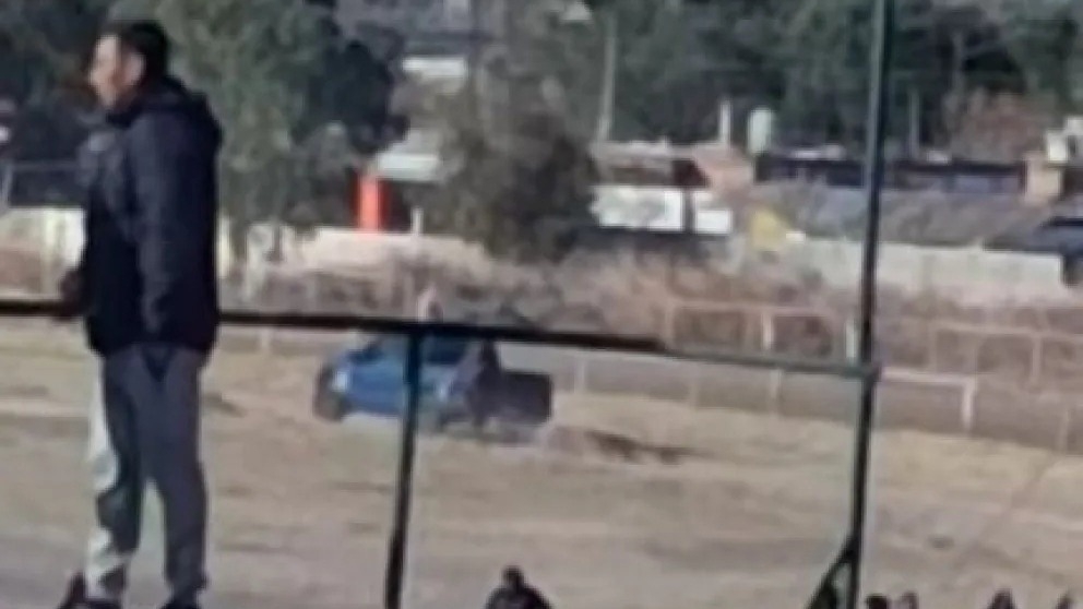 Arrastraron a un caballo muerto con una camioneta: la explicación del Jockey Club