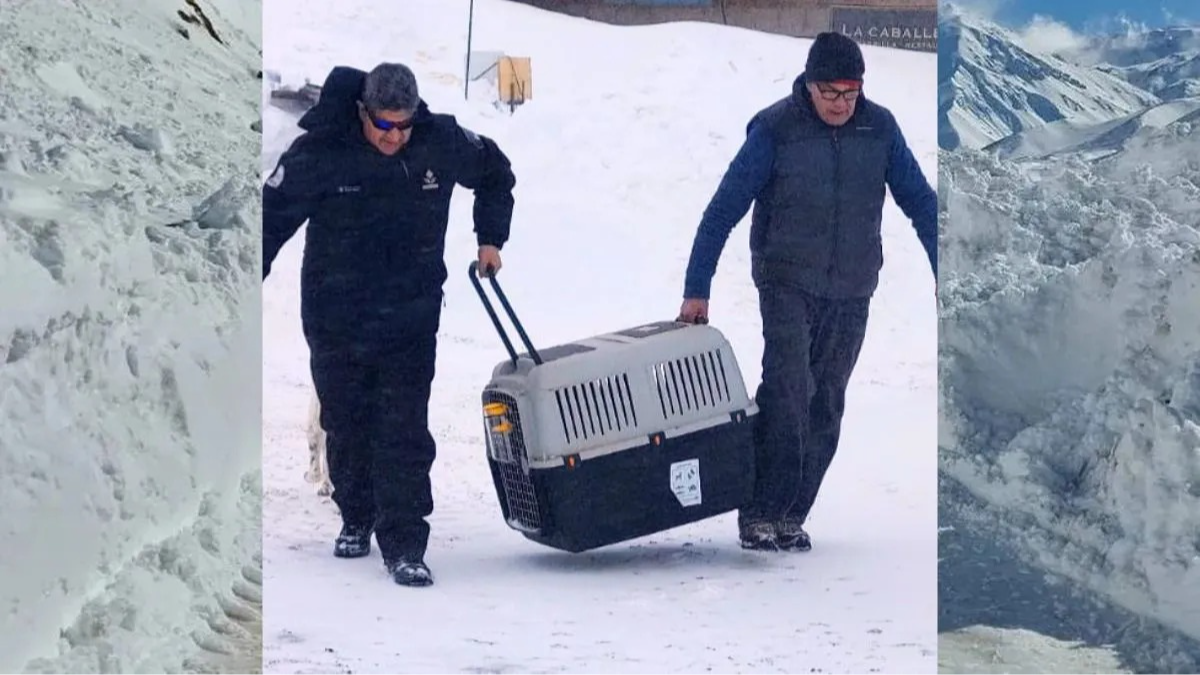 Llevaba semanas enferma y aislada por la nieve: lograron rescatarla