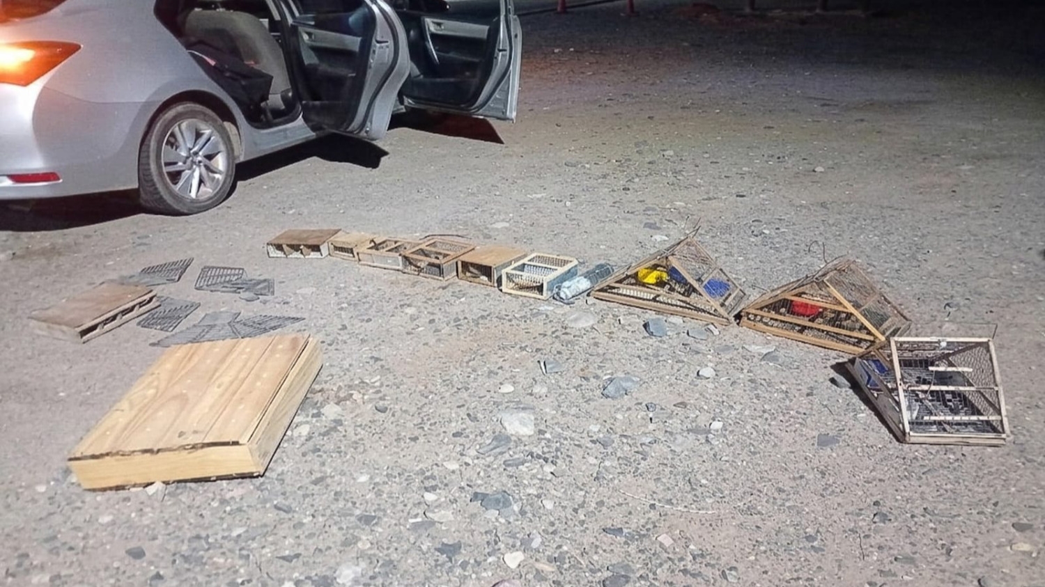 Rescataron 30 aves y secuestraron trampas en un operativo vial
