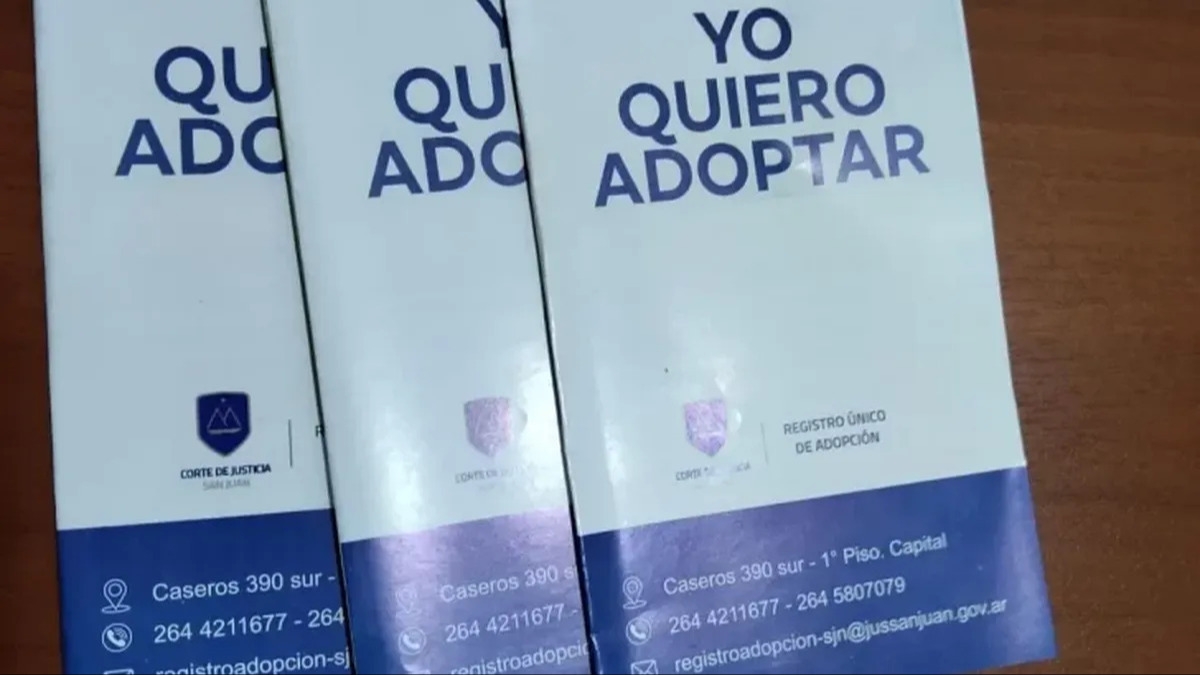 El caso de la niña de 11 años disparó las consultas sobre el proceso de adopción