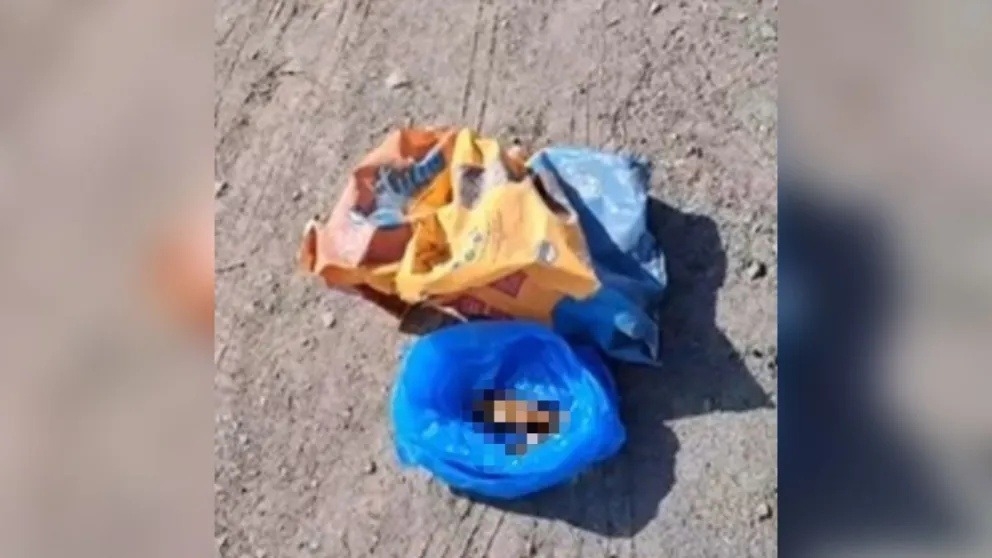 Encontraron una bolsa con restos de perro en la casa de una vecina de Rawson