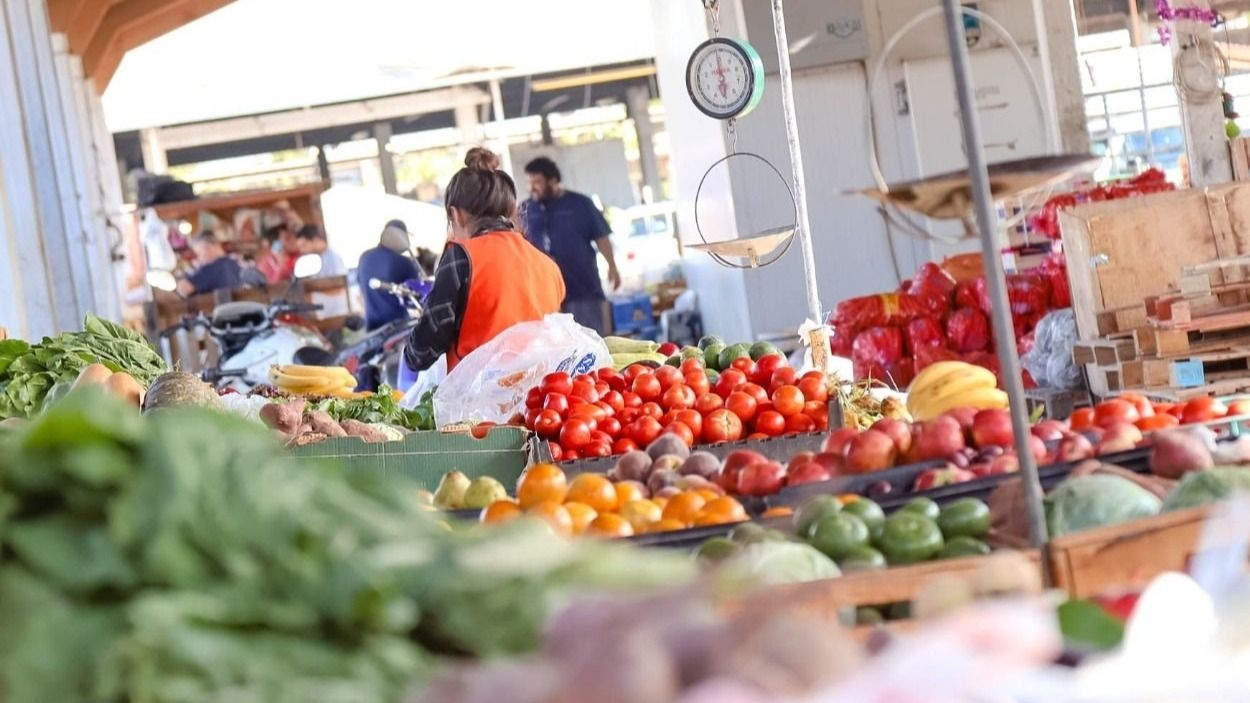 Nuevo Mercado Frutihortícola en Pocito: cuándo abrirá y dónde estará