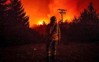 Greenpeace exige más fondos y prevención frente a incendios forestales