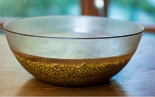 Si cocinaste lentejas, no tires el agua: los usos que pocos conocen