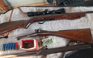 Allanaron dos casas y encontraron armas y aves autóctonas  