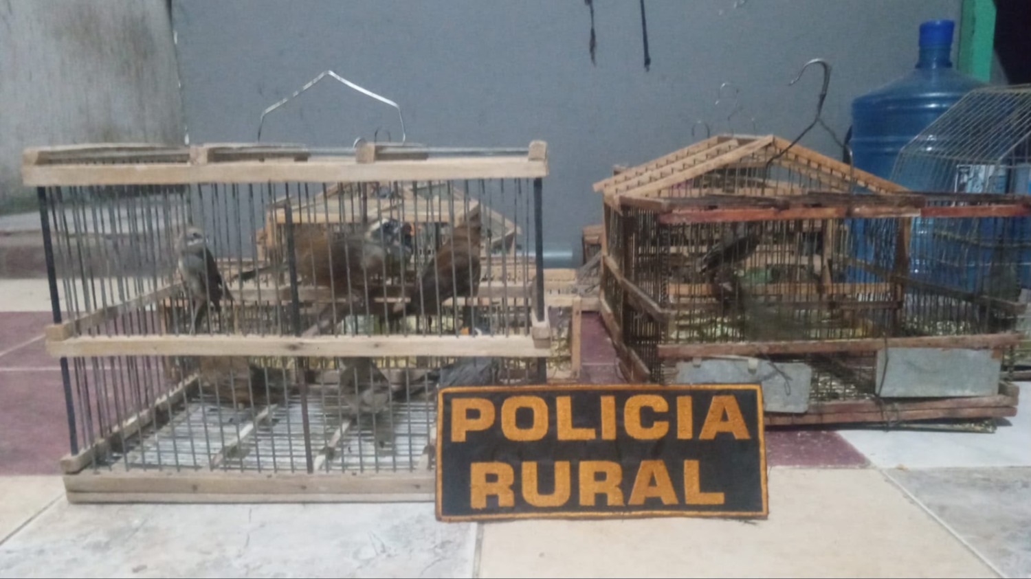 La Policía Rural secuestró 11 aves autóctonas en cautiverio que está prohibido por ley.